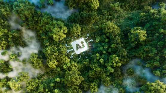 An overhead photo of a forest with "AI" added to the center of the image.