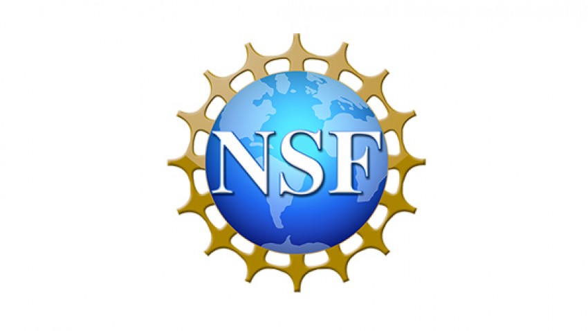 NSF logo