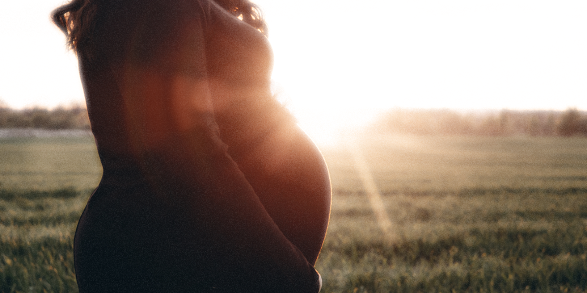 New Model Could Help Provide Expectant Mothers a Clearer Path to Safe Fish Consumption