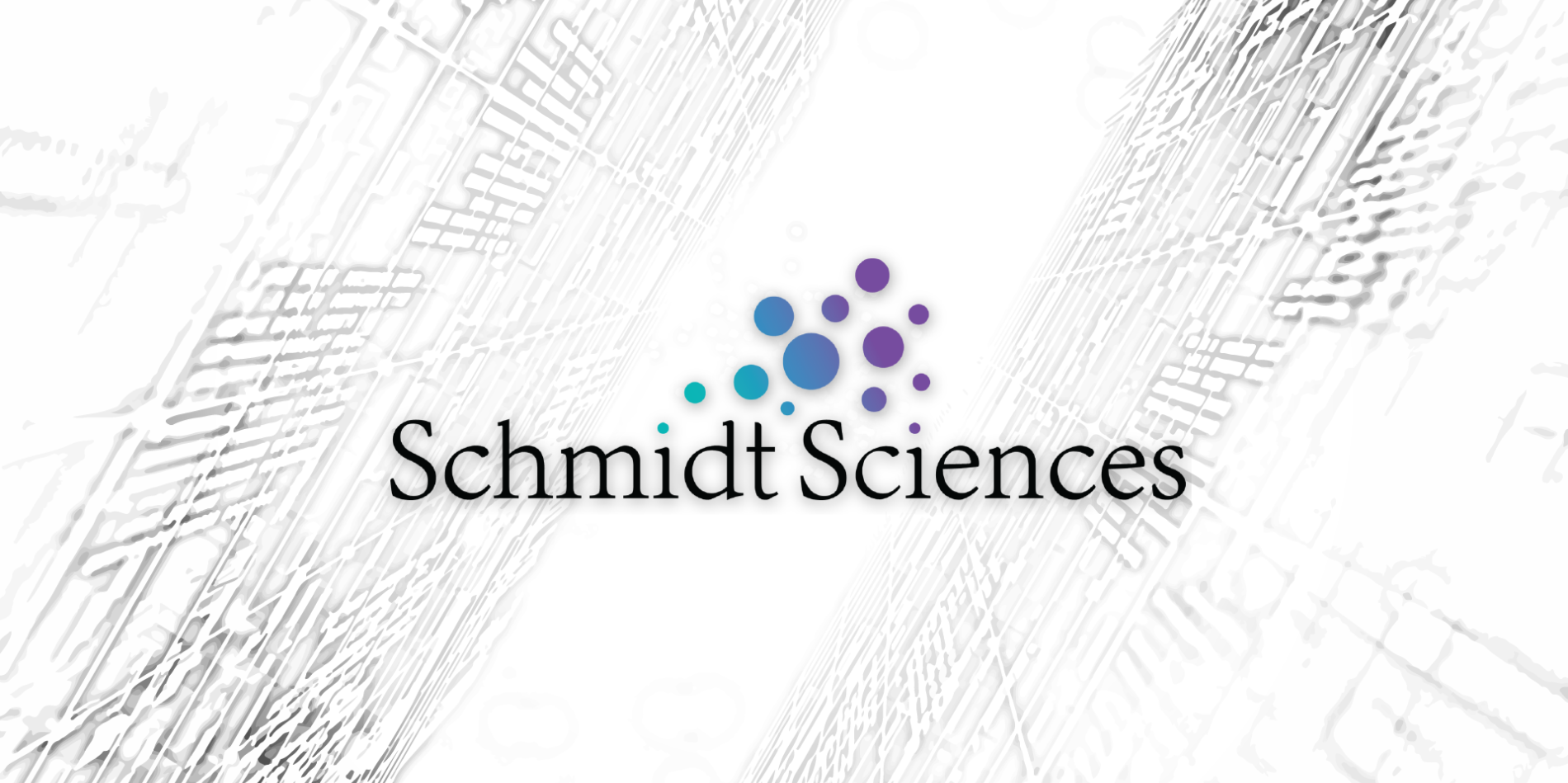 Researchers in climate science, nanoparticles among 12 newest Eric and Wendy Schmidt AI in Science Postdoctoral Fellows