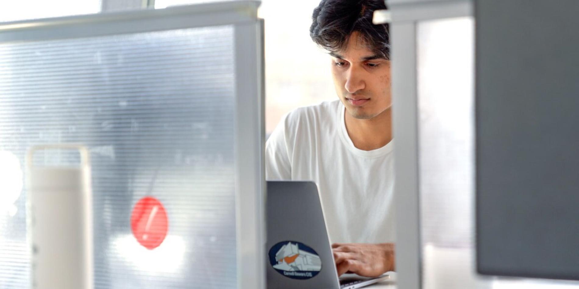 Summer program gives undergraduates a taste of research life