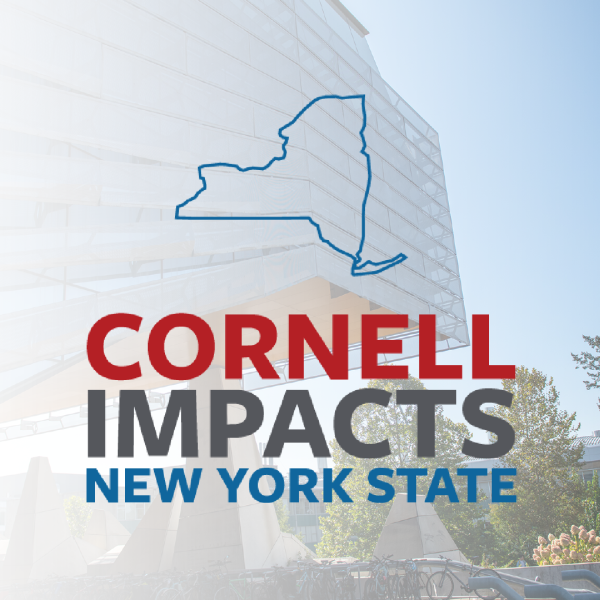 As Empire AI dawns, Cornell lays groundwork for public good