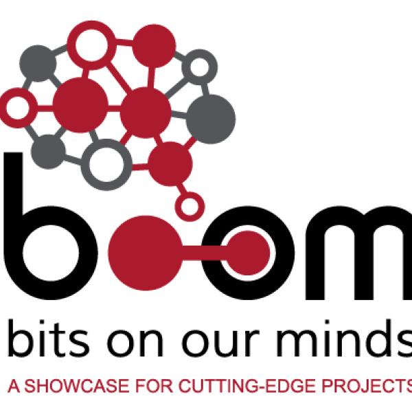 BOOM 2023 Projects Explode with Creativity, Innovation - Cornell Daily Sun