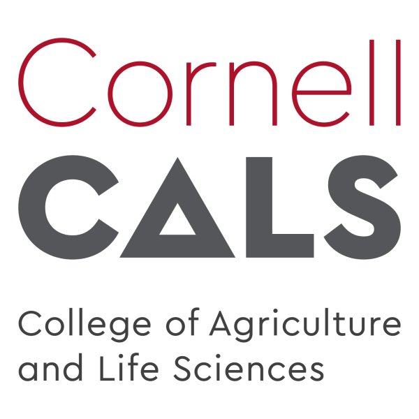 CALS offers new minor in digital agriculture