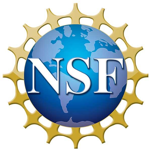 Basu, Bhattacharjee, Trummer, Kizilcec, and Zhang receive NSF CAREER Awards