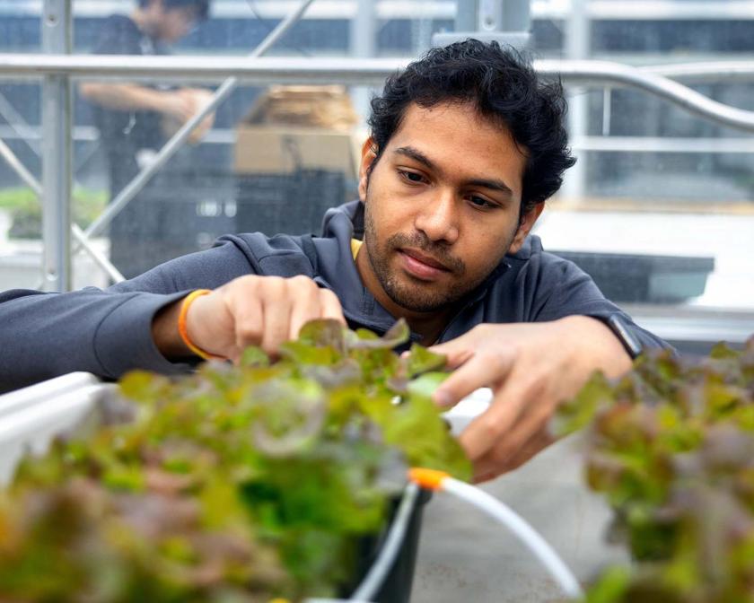 undergraduate student conducting research over a bed of flowers