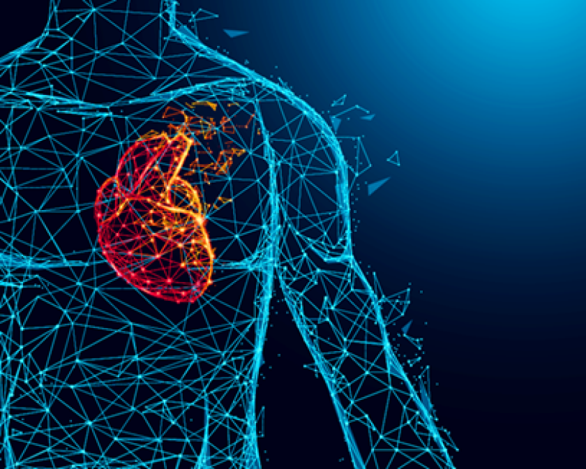 a blue mapping of a human body with orange heart