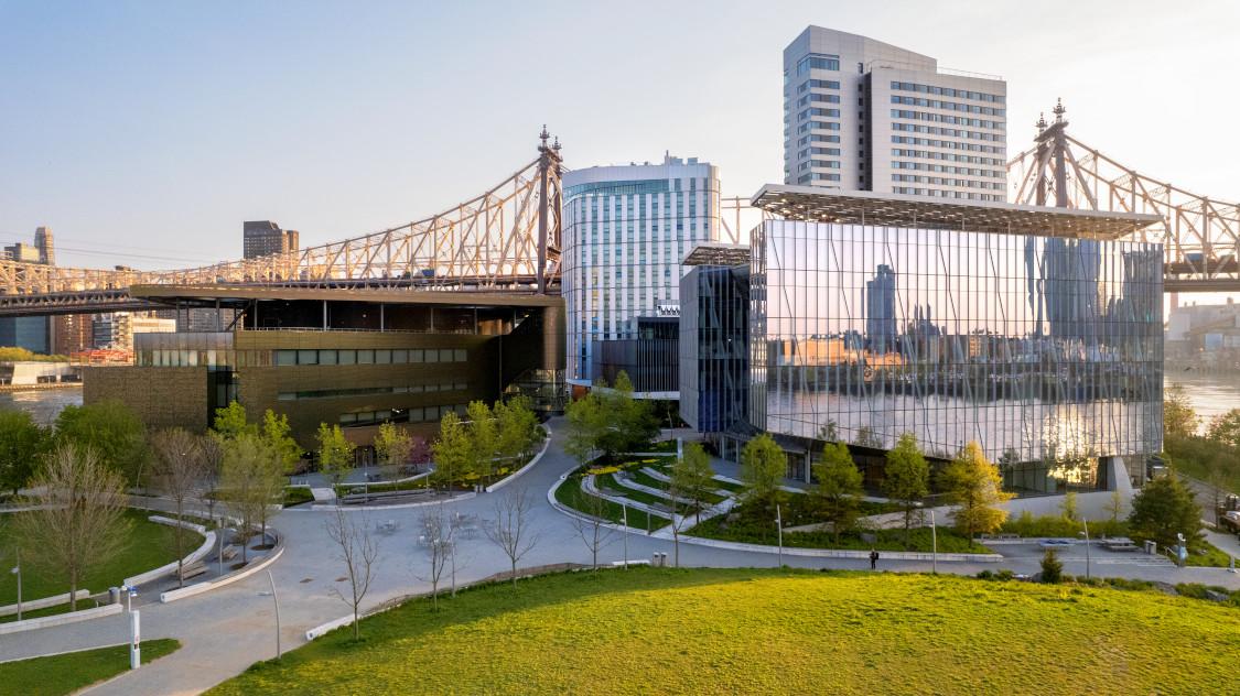 green grass in front of silver and glass covered buildings with a bridge and city skyline in the background