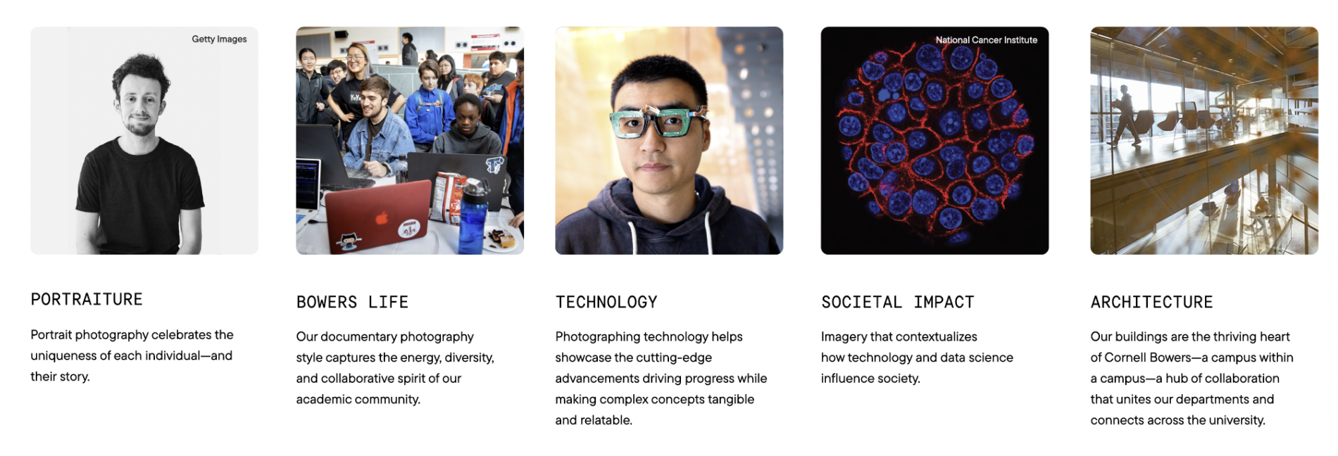 5 photos in a line grid